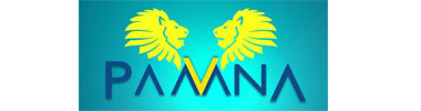 Simson Client