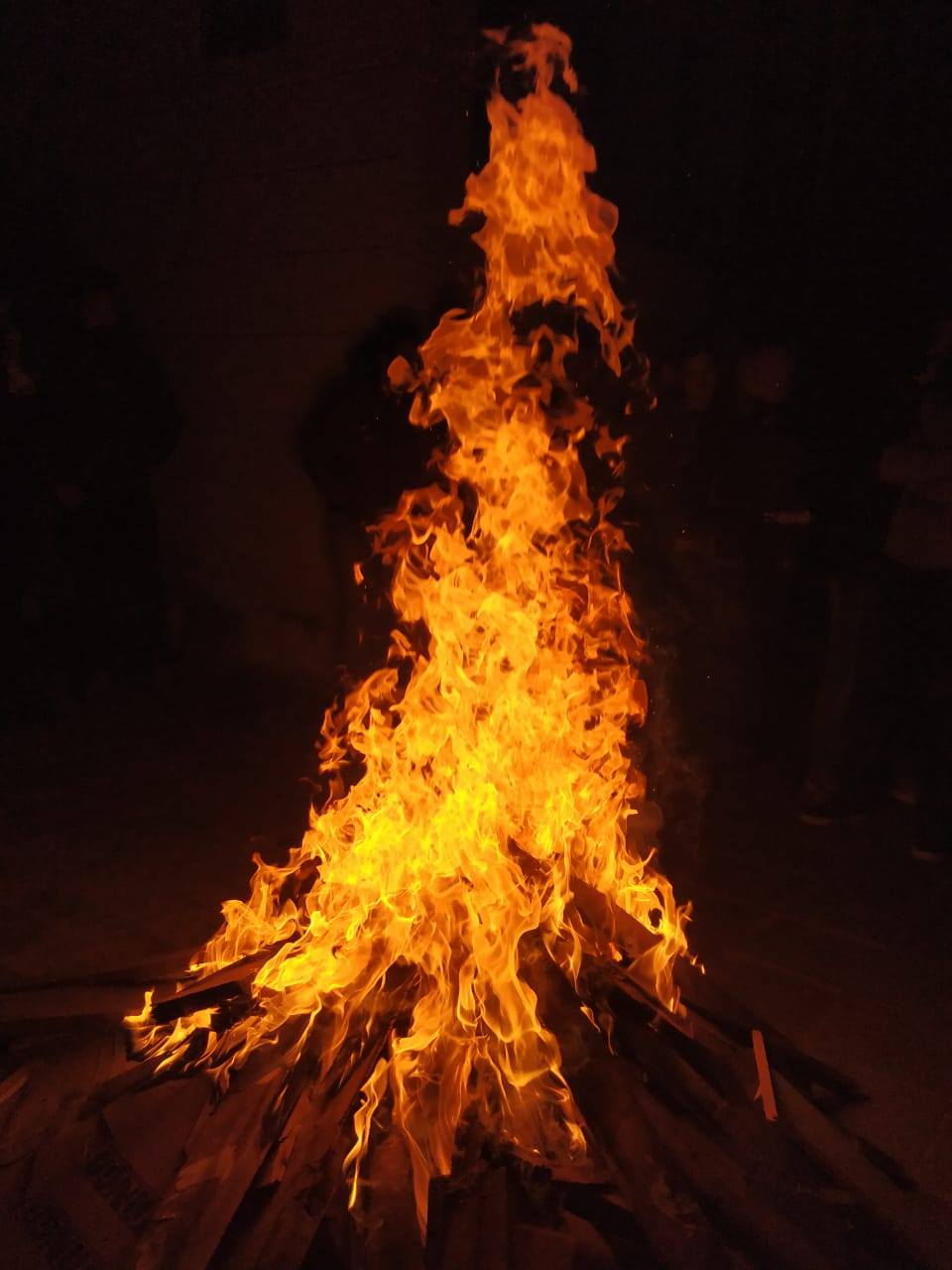 New Year and Lohri Celebrations